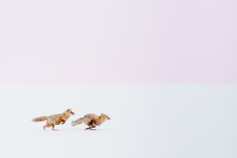 The best travel photos according to National Geographic — 2016