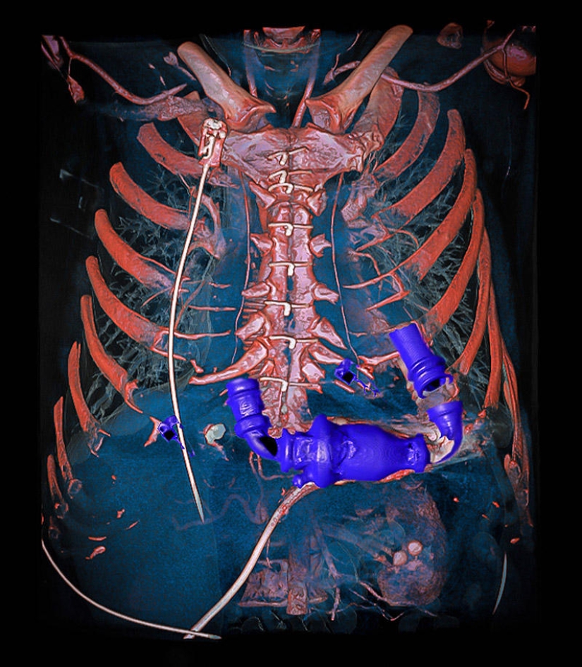 The bewitching beauty of the best scientific personnel of the year The bewitching beauty of the best scientific personnel of the year