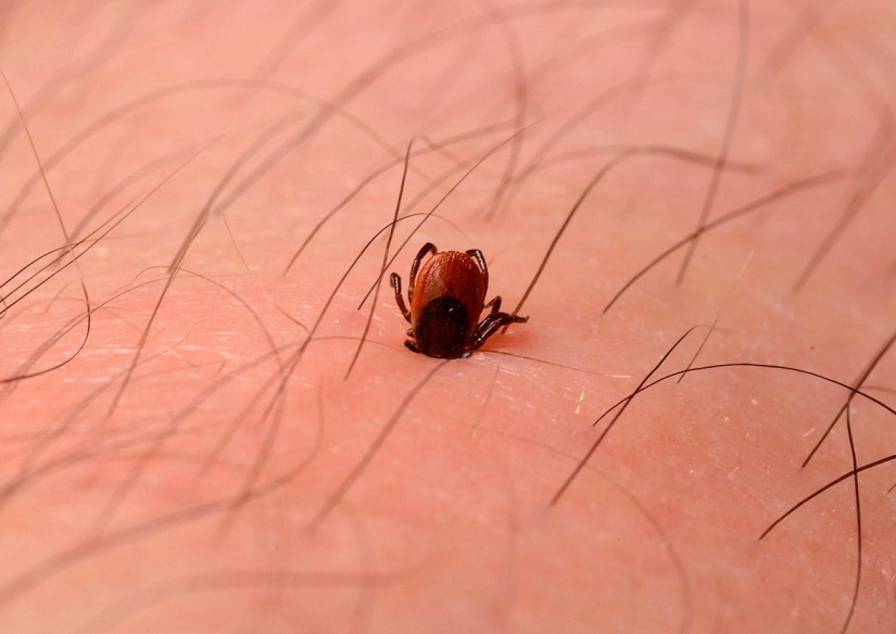 The bewitching beauty of the best scientific personnel of the year The bewitching beauty of the best scientific personnel of the year