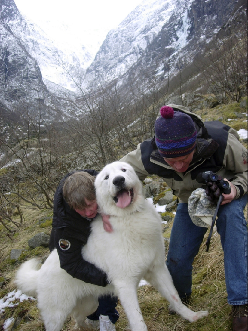The brightest and most emotional photos of happy people