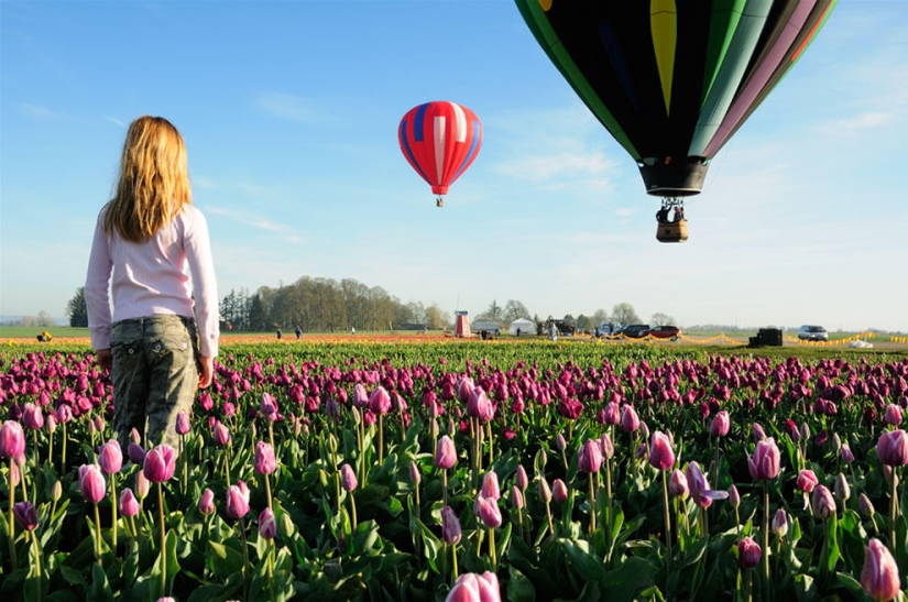 The brightest tulips from around the world