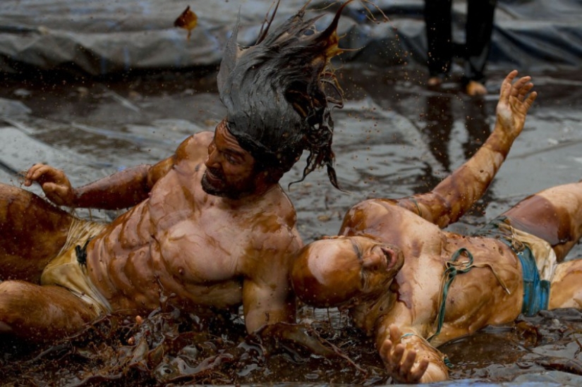 The British are going crazy - in England there was a championship in gravy wrestling The British are going crazy - in England there was a championship in gravy wrestling