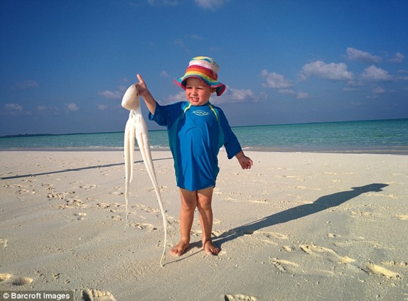 The British family decided not to send their children to school, but to travel around the world with them