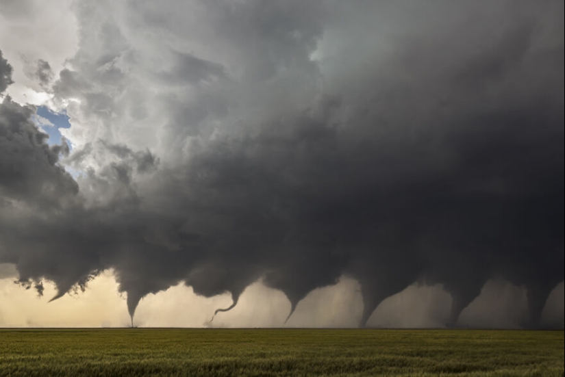 The Community Of Wikimedia Commons Has Chosen The 15 Most Beautiful Images Of 2006-2022