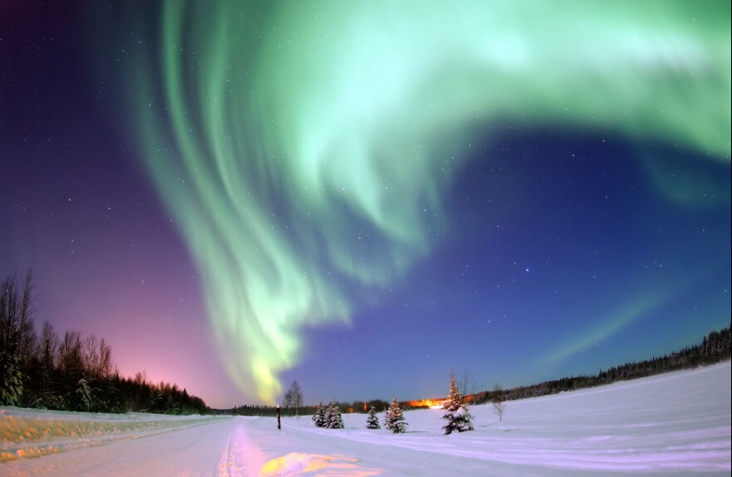 The Community Of Wikimedia Commons Has Chosen The 15 Most Beautiful Images Of 2006-2022
