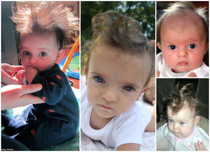 The competition for the strangest hairstyles among kids The competition for the strangest hairstyles among kids
