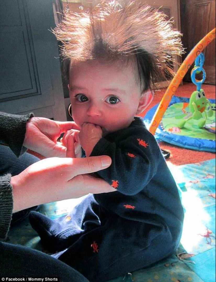 The competition for the strangest hairstyles among kids The competition for the strangest hairstyles among kids