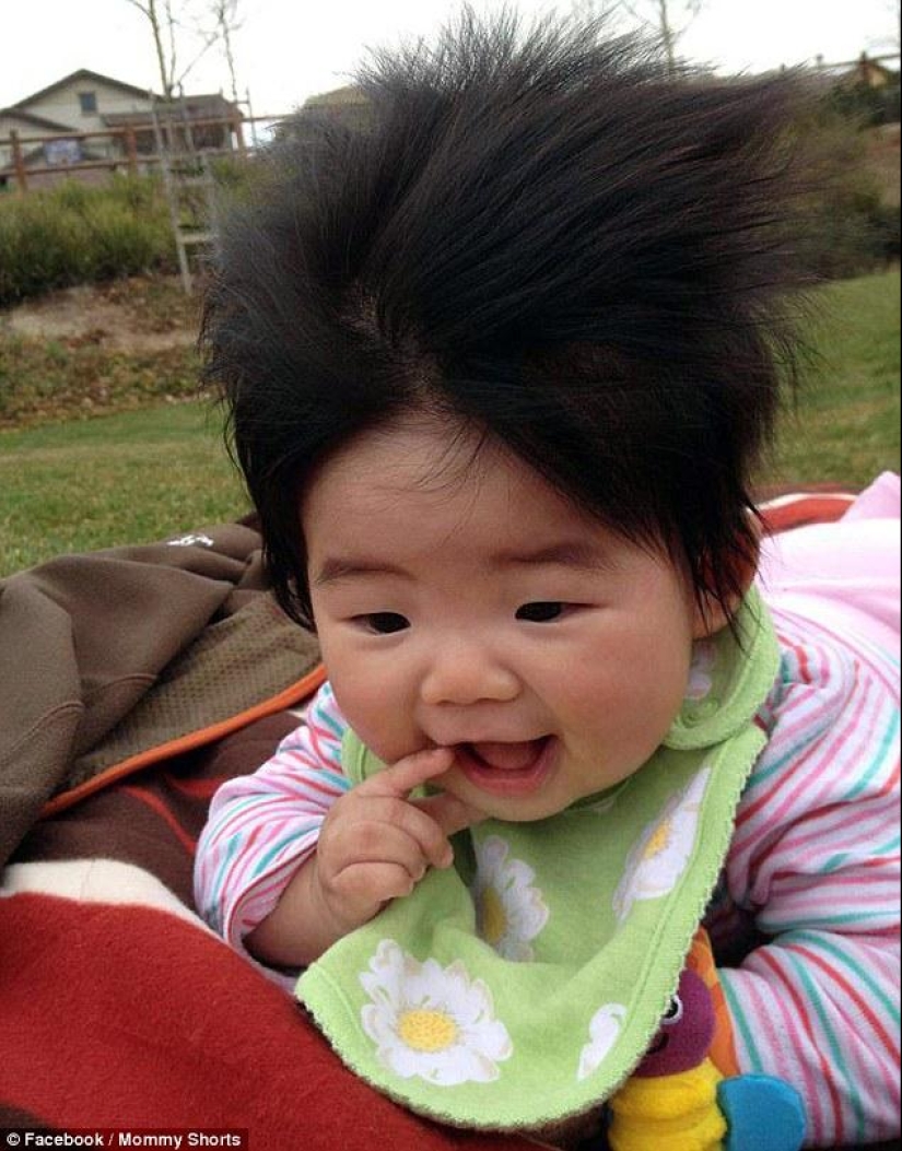The competition for the strangest hairstyles among kids The competition for the strangest hairstyles among kids