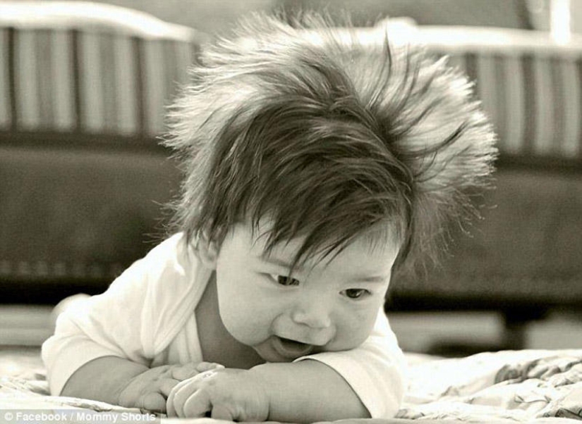 The competition for the strangest hairstyles among kids The competition for the strangest hairstyles among kids