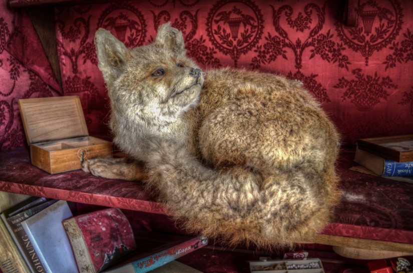 The creepy abandoned operating room of a German urologist has remained untouched for almost 30 years