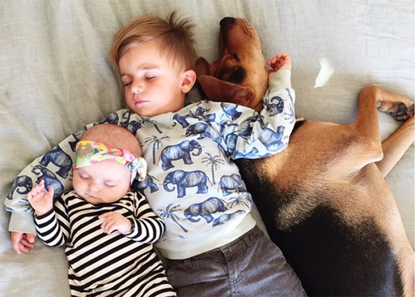 The cutest sleeping trio