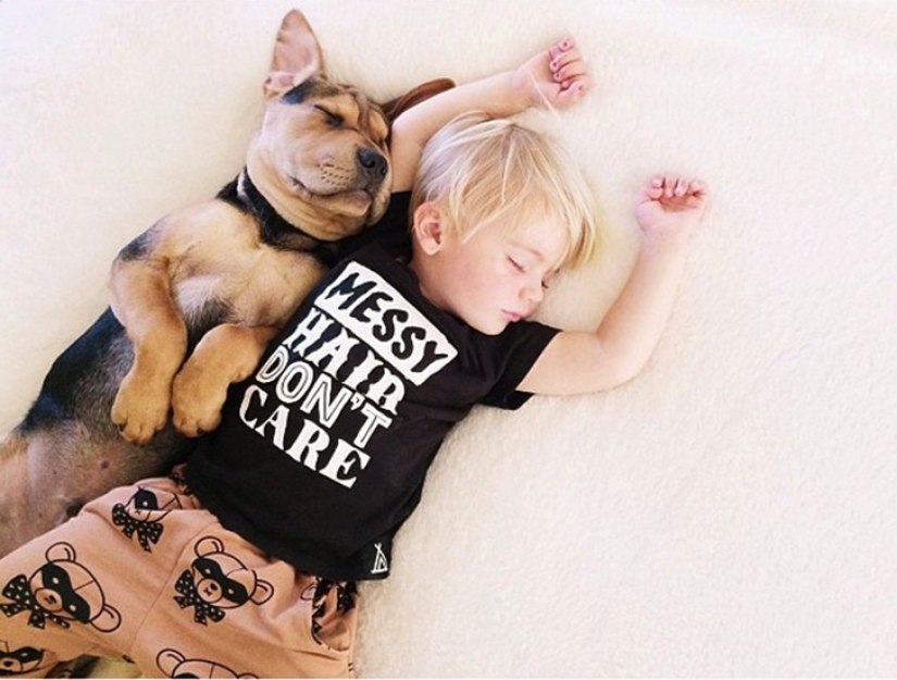 The cutest sleeping trio