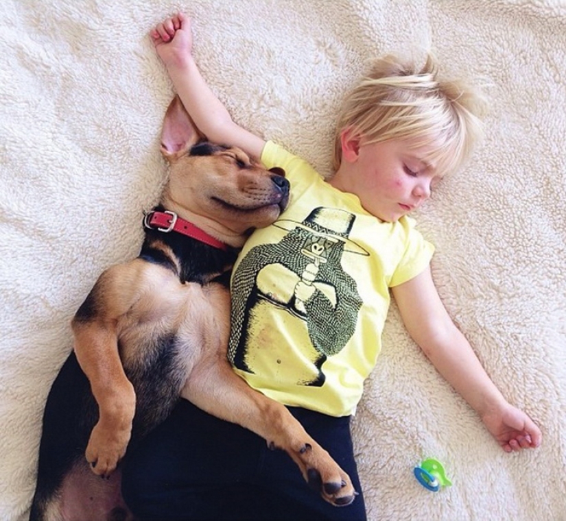 The cutest sleeping trio