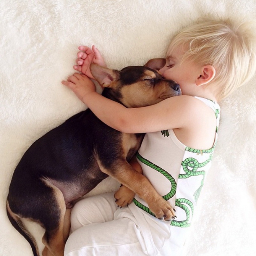 The cutest sleeping trio