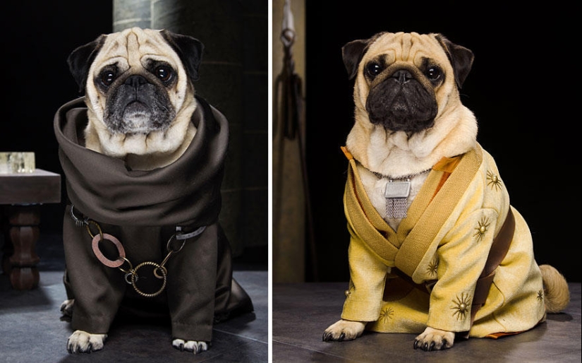 The cutest version of Game of Thrones
