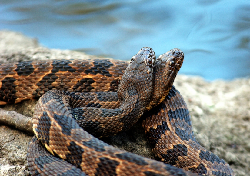 The day of hugs from our younger brothers