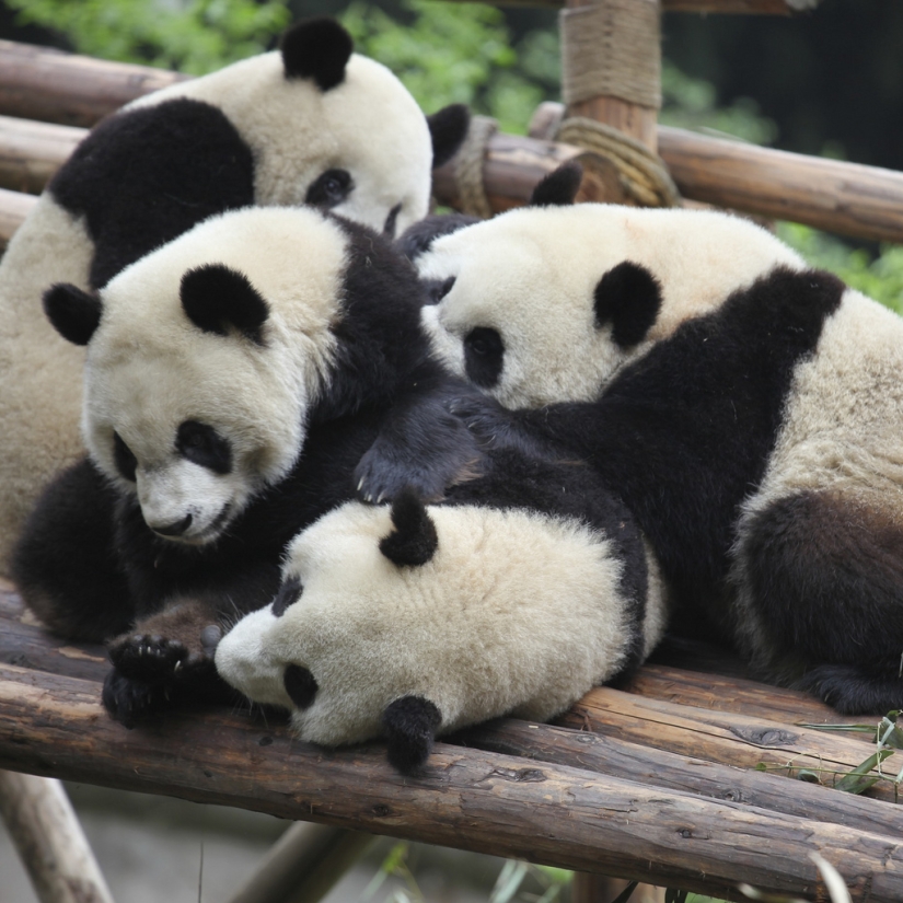 The day of hugs from our younger brothers