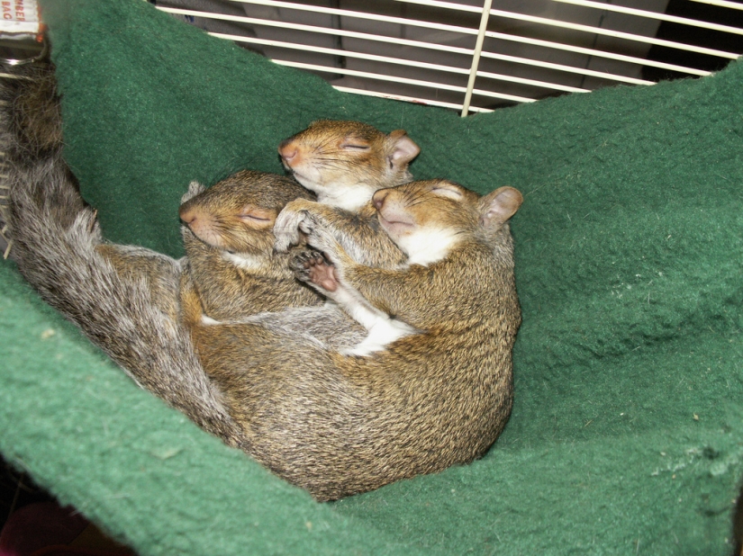 The day of hugs from our younger brothers