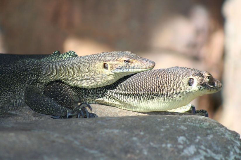 The day of hugs from our younger brothers