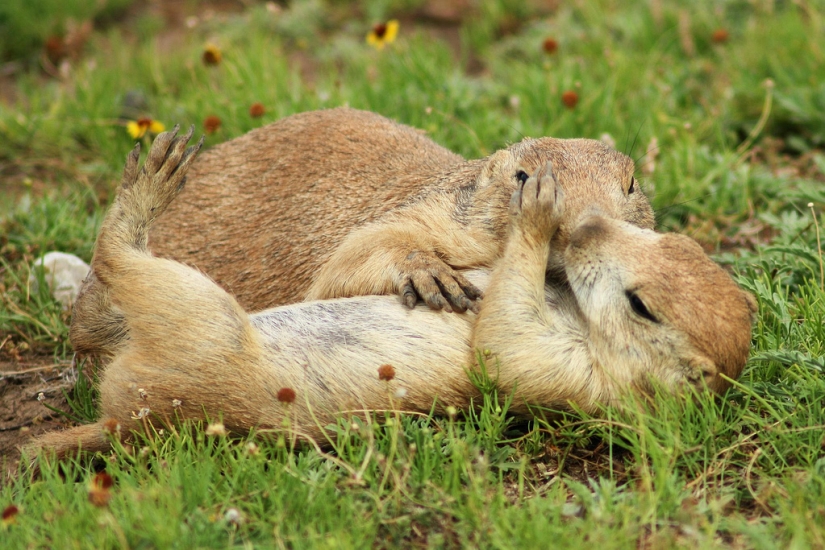 The day of hugs from our younger brothers