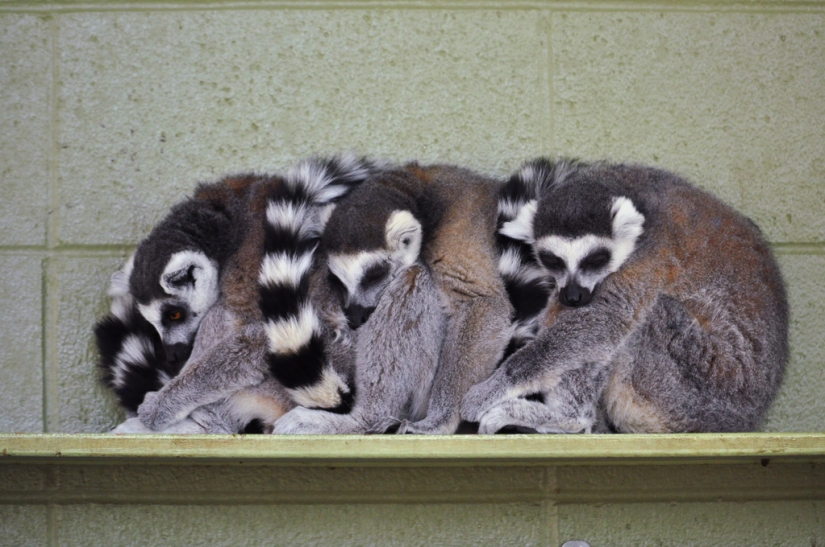 The day of hugs from our younger brothers