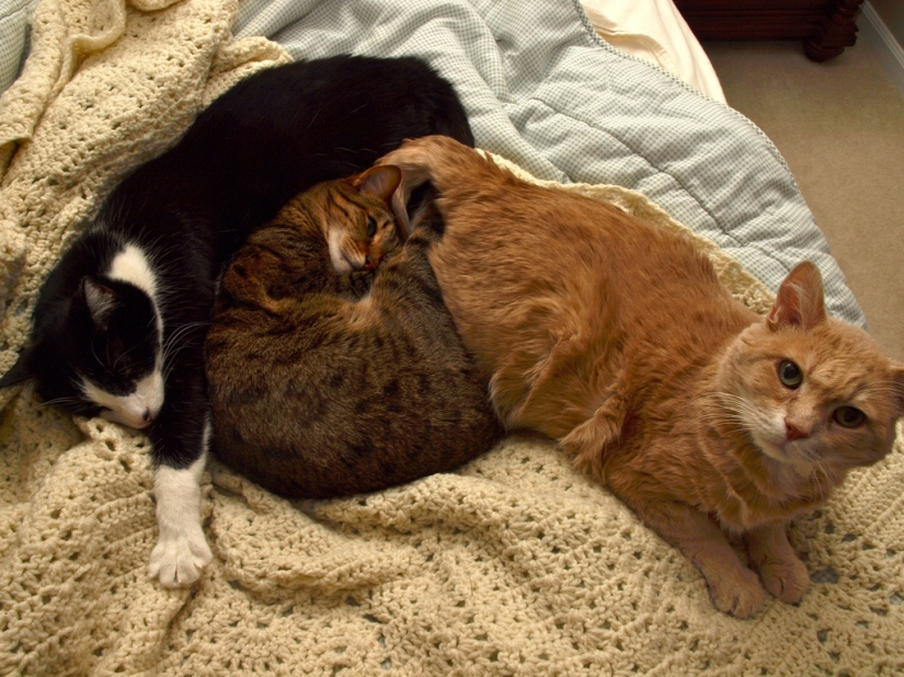 The day of hugs from our younger brothers