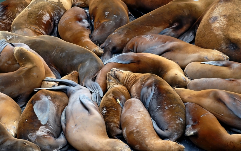 The day of hugs from our younger brothers