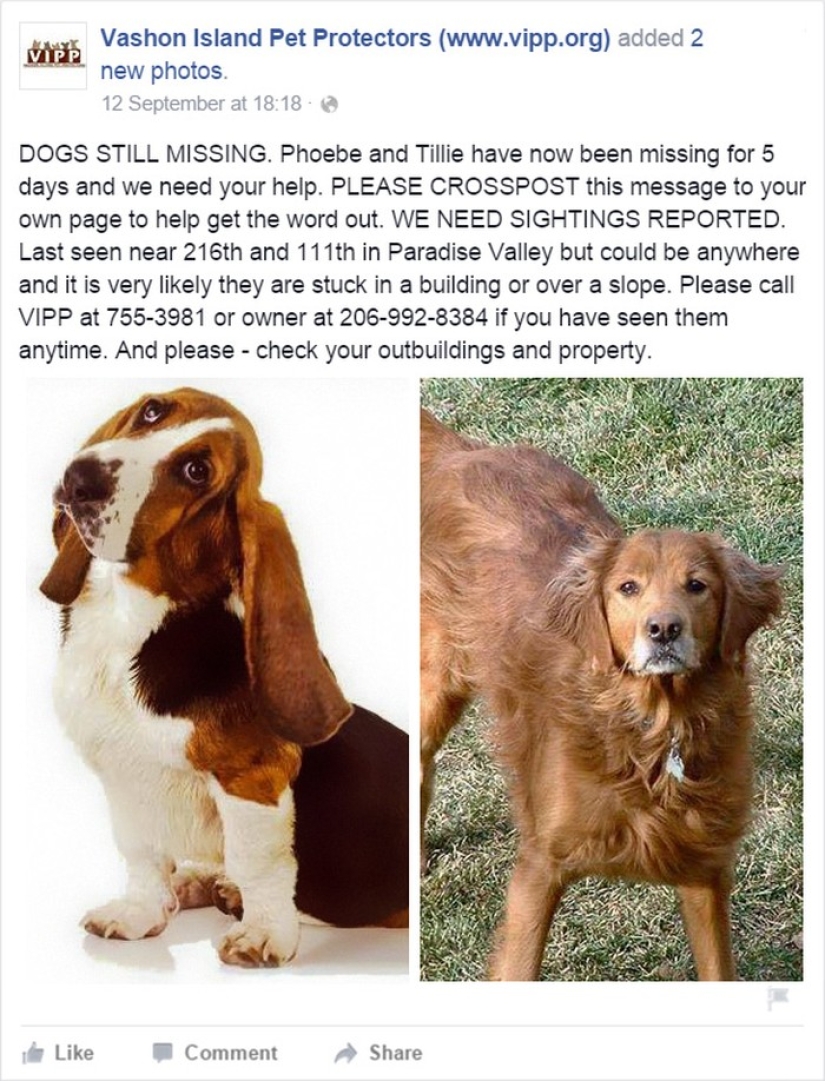 The dog sat for a week next to his friend who fell into the pit - until help arrived from Facebook