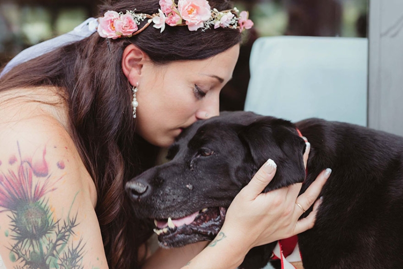 The dying dog lived to see the wedding of his beloved mistress