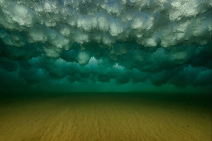 The German Society For Nature Photography Has Chosen The Best Wildlife Photographs In Europe