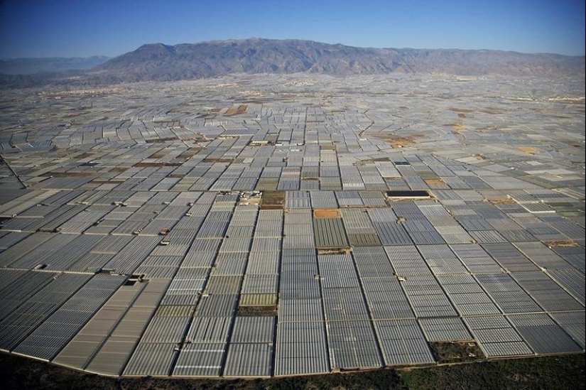 The grandiose greenhouses of Almeria