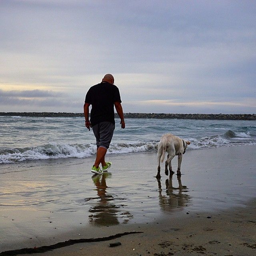 The guy went on a trip with his dog, knowing that this is their last adventure The guy went on a trip with his dog, knowing that this is their last adventure