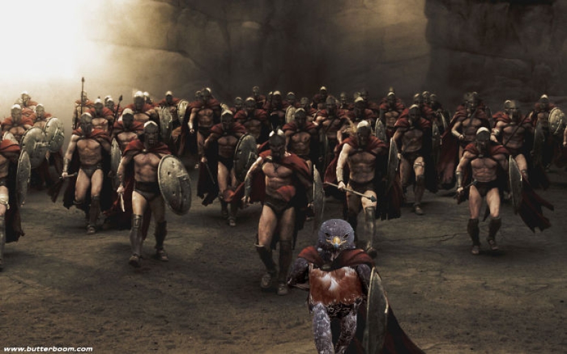 The hawk became the hero of the photoshop battle