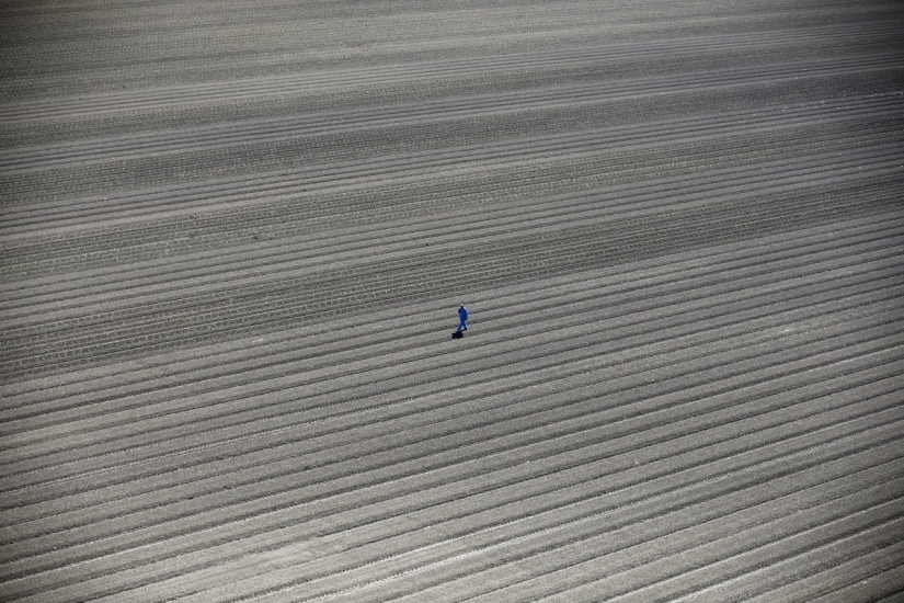 The horrifying effects of a drought in California