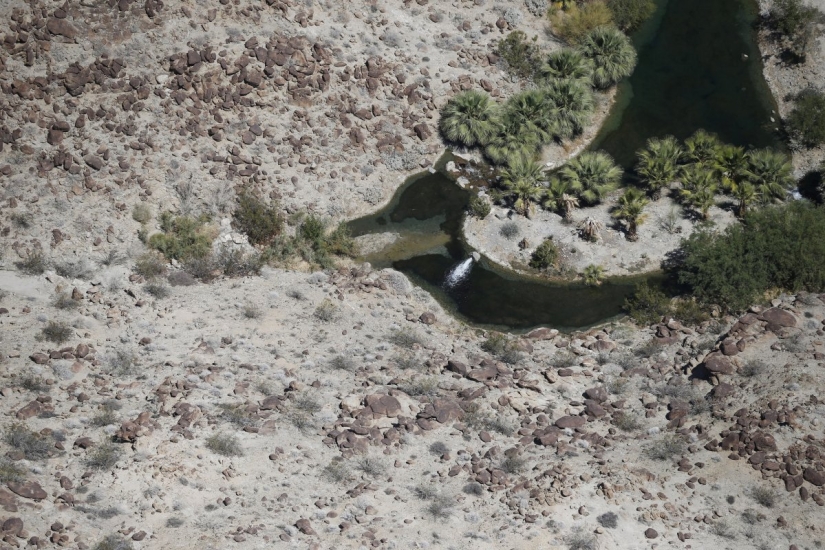 The horrifying effects of a drought in California