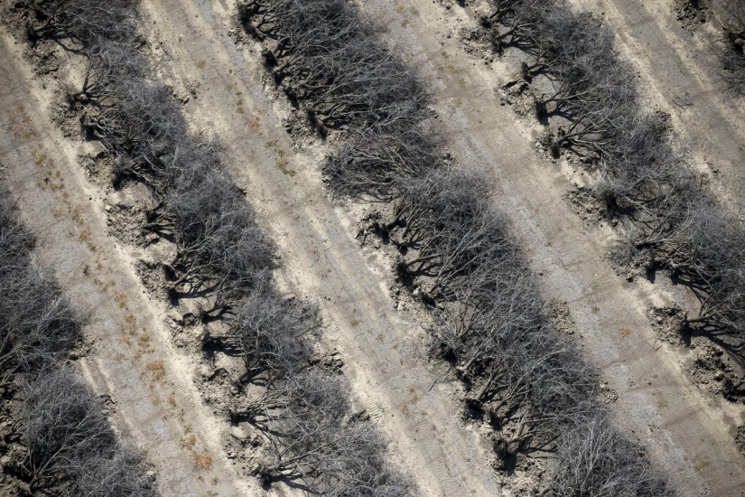The horrifying effects of a drought in California