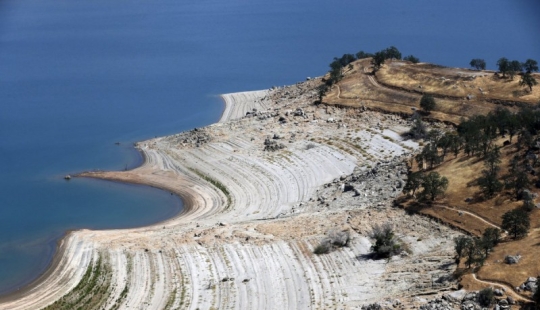 The horrifying effects of a drought in California