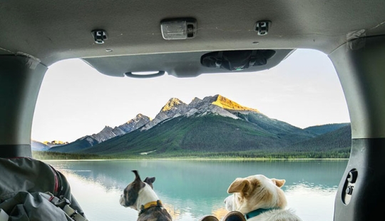 The Inspiring Beauty Of Van Life