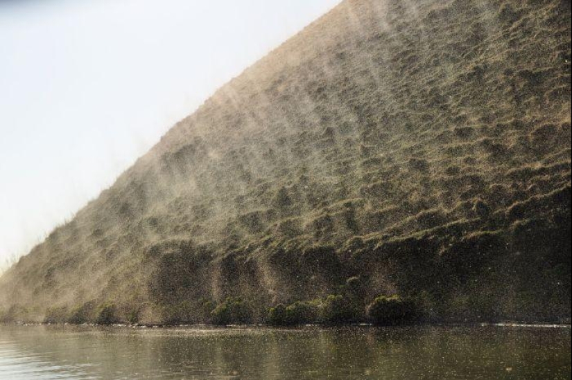 The invasion of mosquitoes in Wisconsin