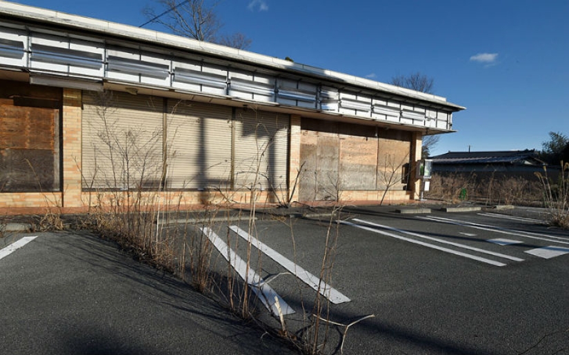 The Japanese tragedy is 5 years old: what the consequences of the country's worst disaster look like today