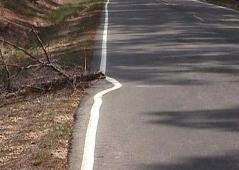 The laziest people
