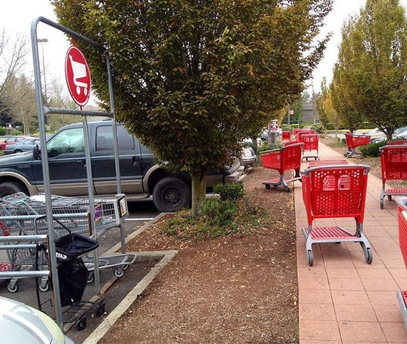 The laziest people