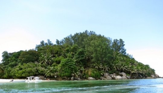 The man left everything and went to his own desert island