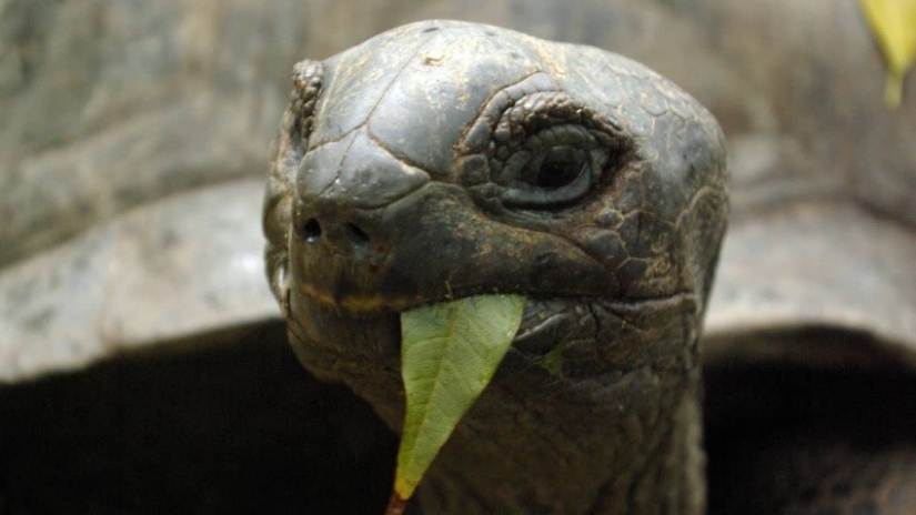 The man left everything and went to his own desert island