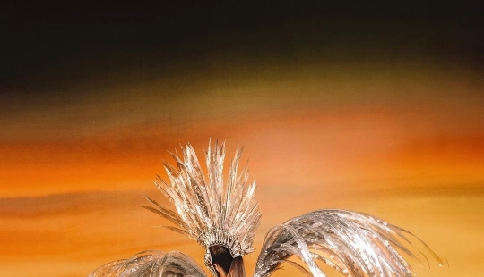 The most beautiful face of the carnival! Famous actress, dancer and queen of the Greater Rio - Paolla Oliveira The most beautiful face of the carnival! Famous actress, dancer and queen of the Greater Rio - Paolla Oliveira