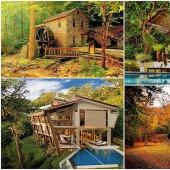 The most beautiful houses in the forest