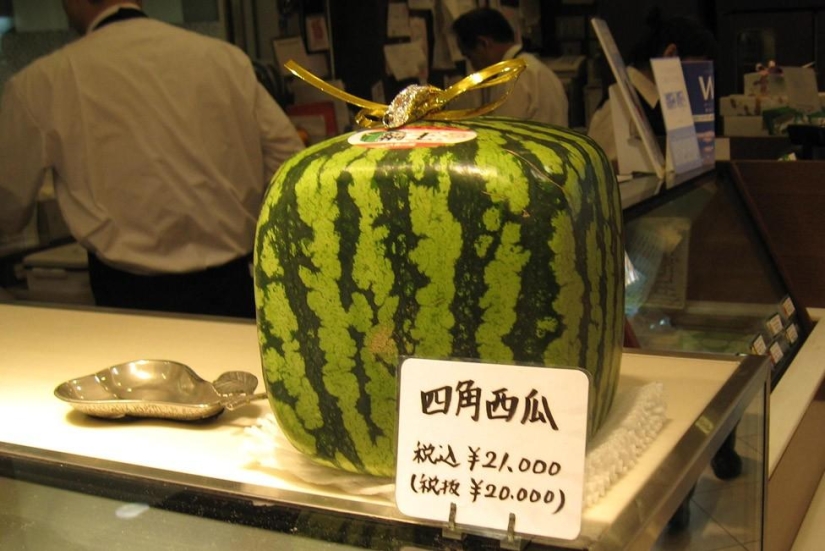 The most expensive fruit parlor in the world The most expensive fruit parlor in the world