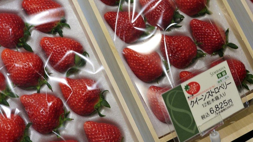The most expensive fruit parlor in the world The most expensive fruit parlor in the world