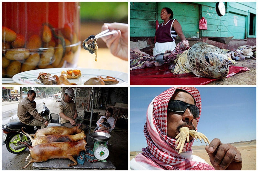 The most extreme food you can eat on this planet