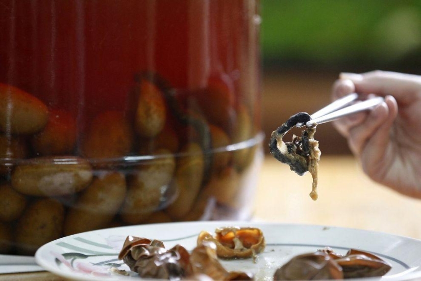 The most extreme food you can eat on this planet